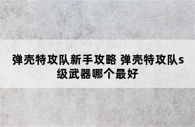 弹壳特攻队新手攻略 弹壳特攻队s级武器哪个最好